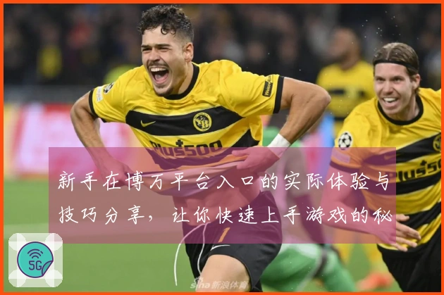 新手在博万平台入口的实际体验与技巧分享，让你快速上手游戏的秘密