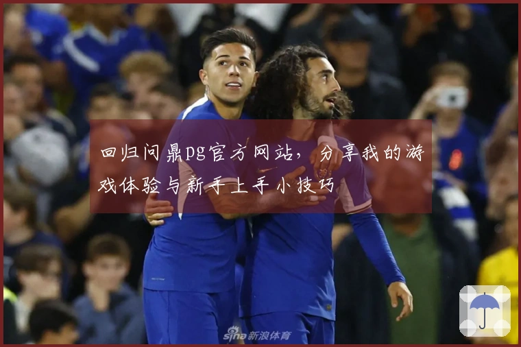 回归问鼎pg官方网站，分享我的游戏体验与新手上手小技巧