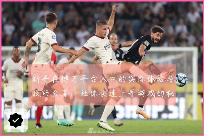 新手在博万平台入口的实际体验与技巧分享，让你快速上手游戏的秘密